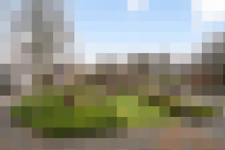 Standaardmolen 19 Weert thumbnail 44