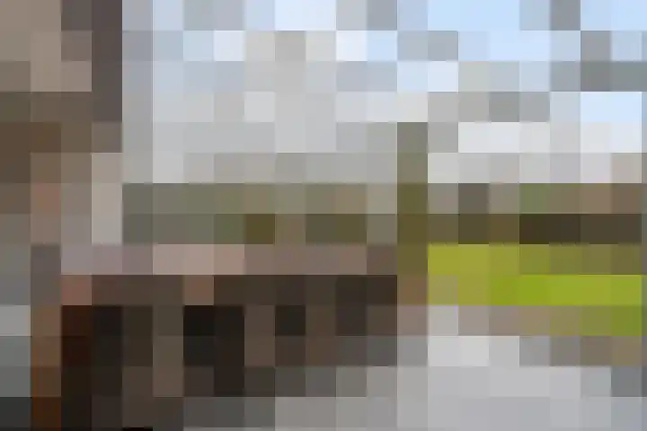 Standaardmolen 19 Weert thumbnail 46