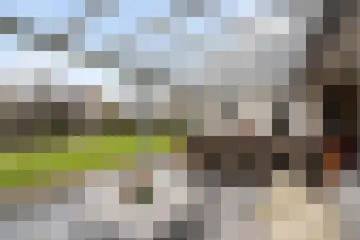 Standaardmolen 19 Weert thumbnail 47
