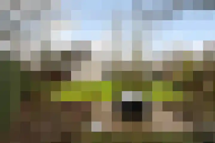 Standaardmolen 19 Weert thumbnail 52
