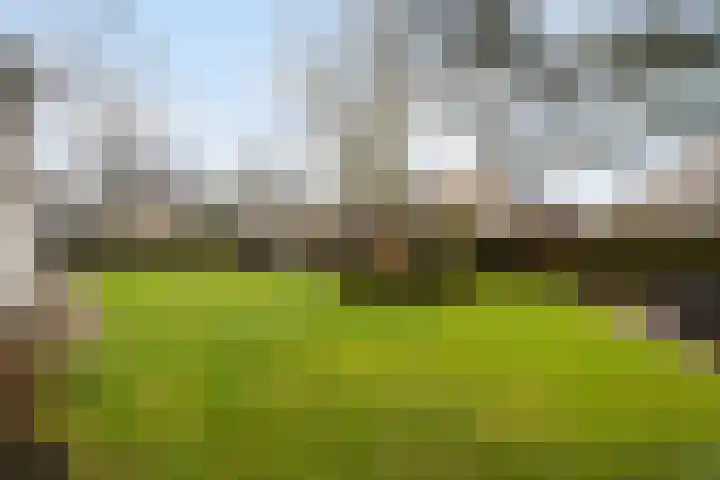 Standaardmolen 19 Weert thumbnail 53