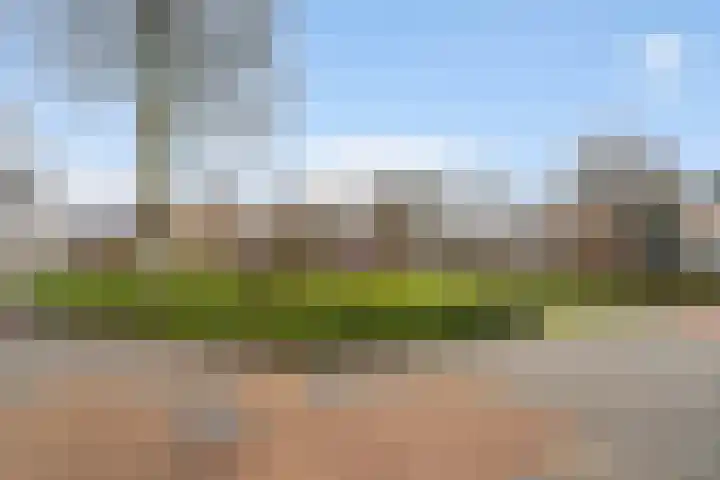 Standaardmolen 19 Weert thumbnail 58