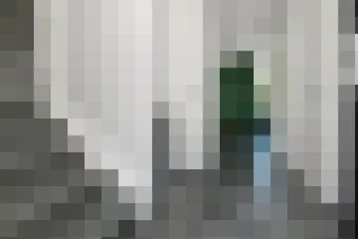 Standerd 35 Valburg thumbnail 22