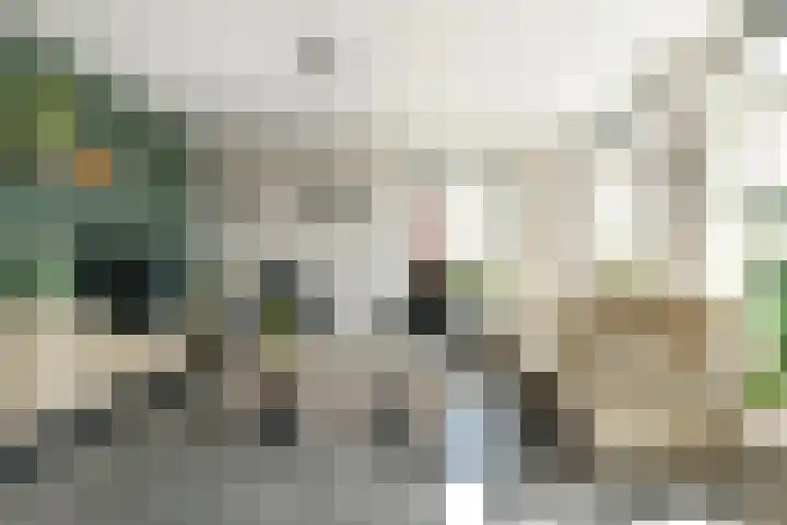 Standerd 35 Valburg thumbnail 8