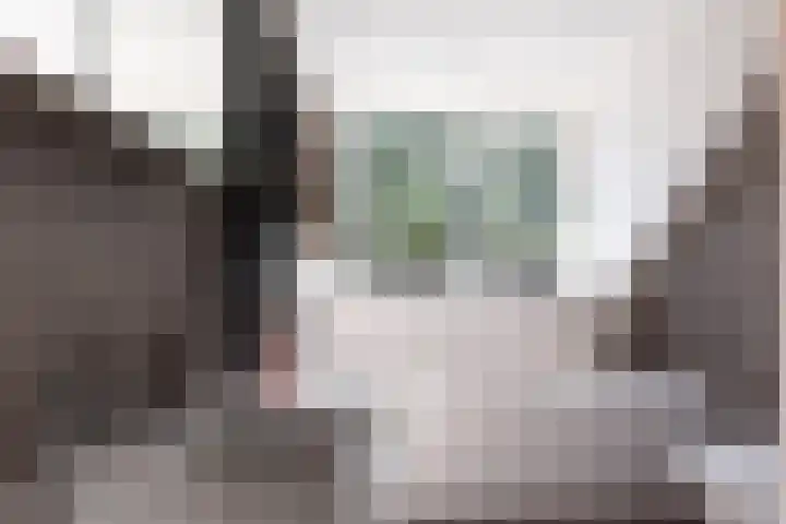 Standerdlaan 19 Heiloo thumbnail 30