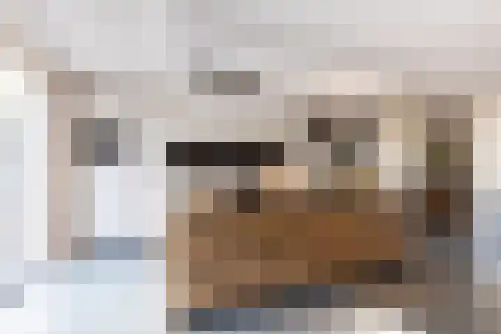 Standerdlaan 19 Heiloo thumbnail 5