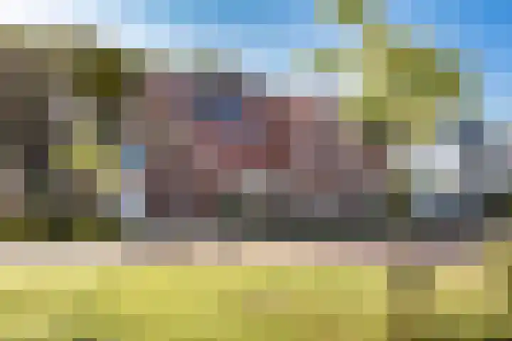 Standerdlaan 19 Heiloo thumbnail 6