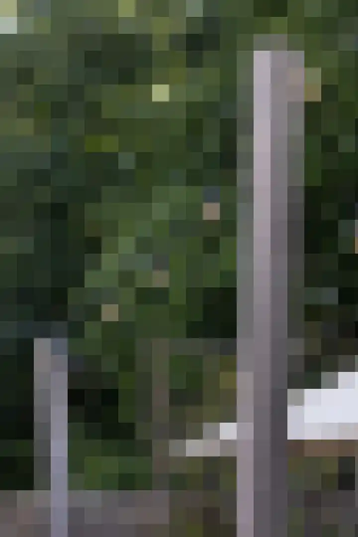 Standerdlaan 19 Heiloo thumbnail 63