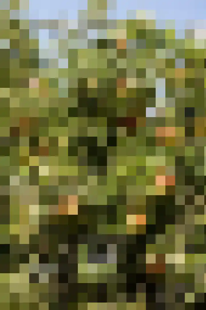 Standerdlaan 19 Heiloo thumbnail 64