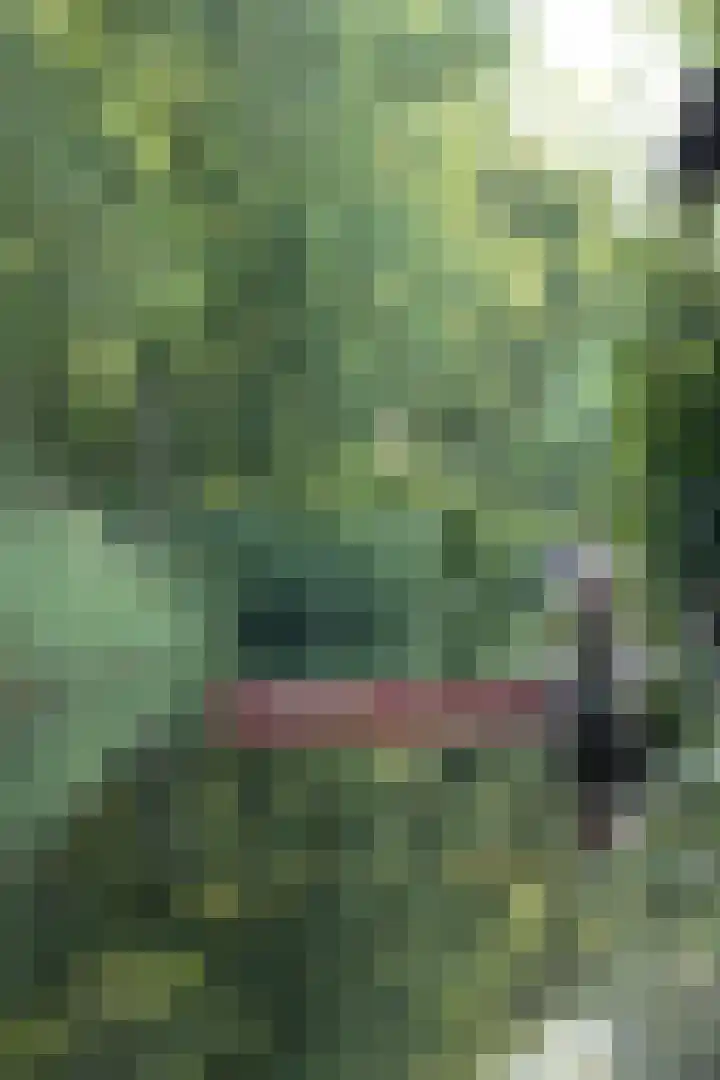 Standerdlaan 19 Heiloo thumbnail 66
