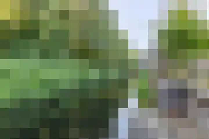 Standerdlaan 19 Heiloo thumbnail 67