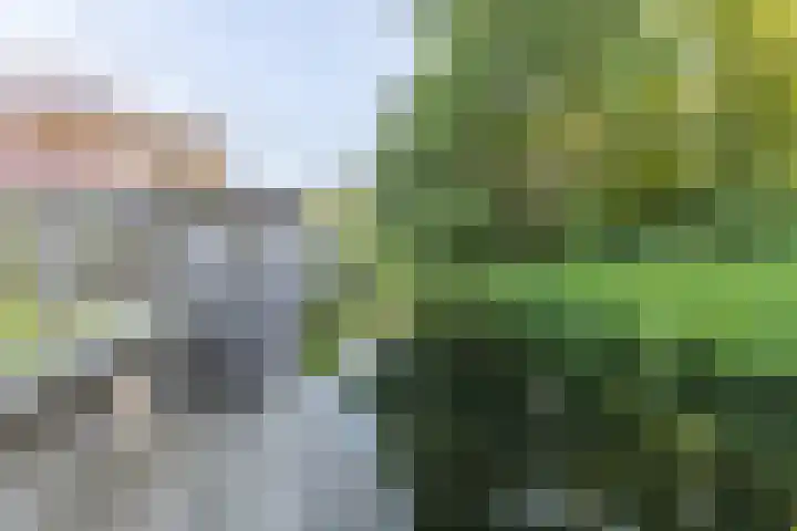 Standerdlaan 19 Heiloo thumbnail 68