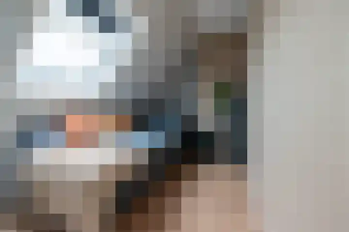 Standerdmolen 1 Groot-Ammers thumbnail 19