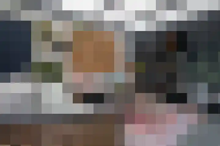Standerdmolen 1 Groot-Ammers thumbnail 20