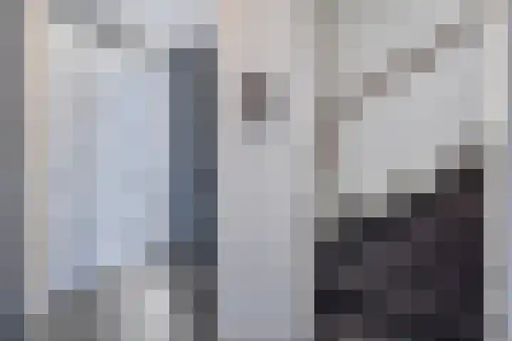 Standerdmolen 27 Gemert thumbnail 15