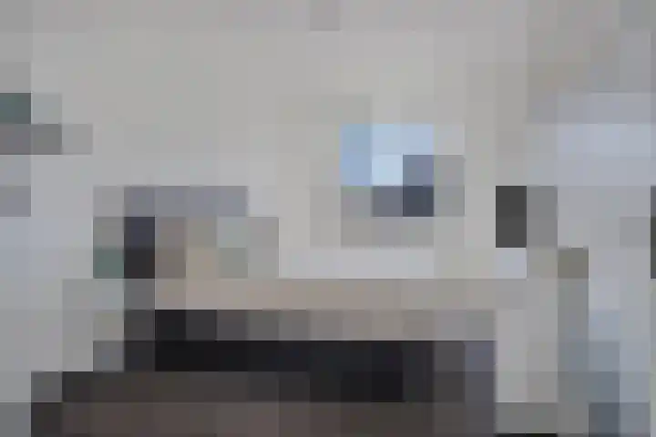 Standerdmolen 27 Gemert thumbnail 16