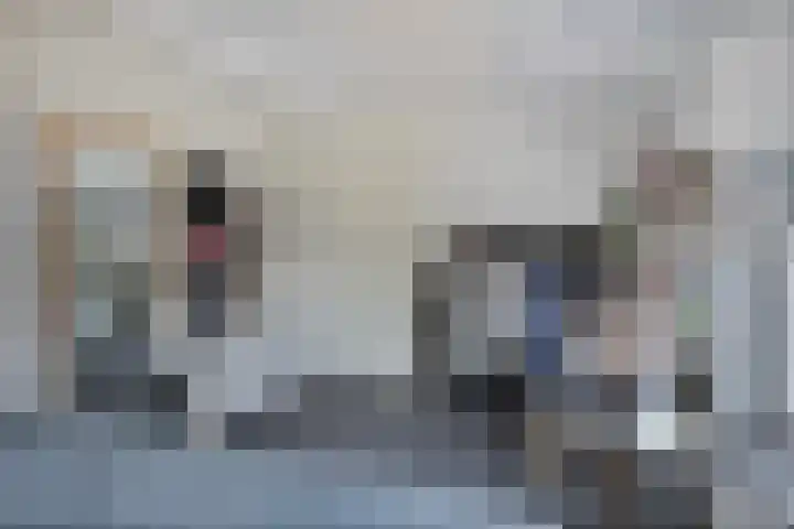 Standerdmolen 27 Gemert thumbnail 25