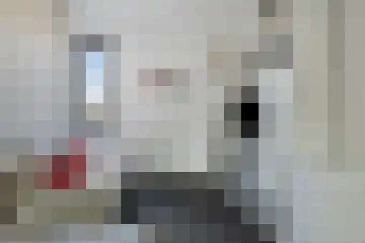 Standerdmolen 27 Gemert thumbnail 28