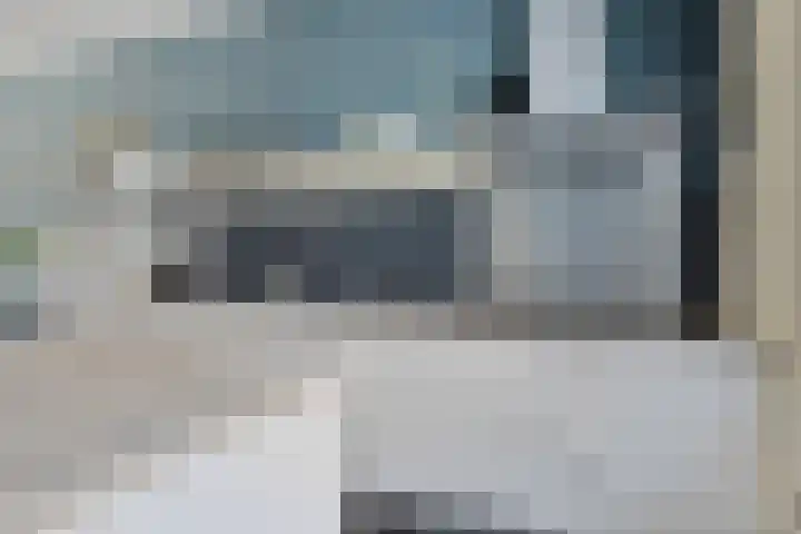 Standerdmolen 27 Gemert thumbnail 9