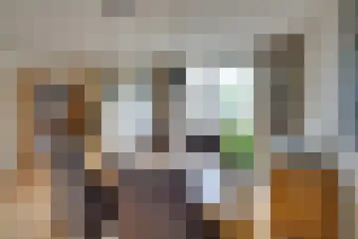 Standerdmolen 76 Edam thumbnail 19