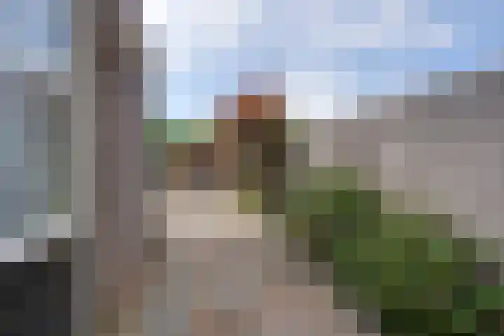 Standerdmolen 76 Edam thumbnail 30