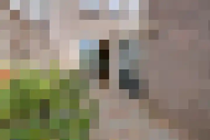 Standerdmolen 76 Edam thumbnail 31