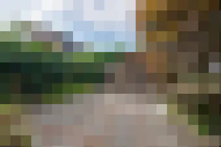 Standerdmolen 76 Edam thumbnail 32