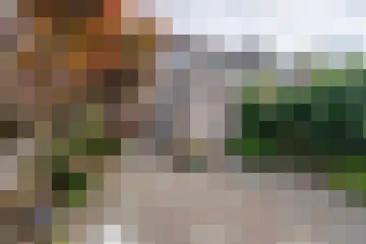 Standerdmolen 76 Edam thumbnail 35