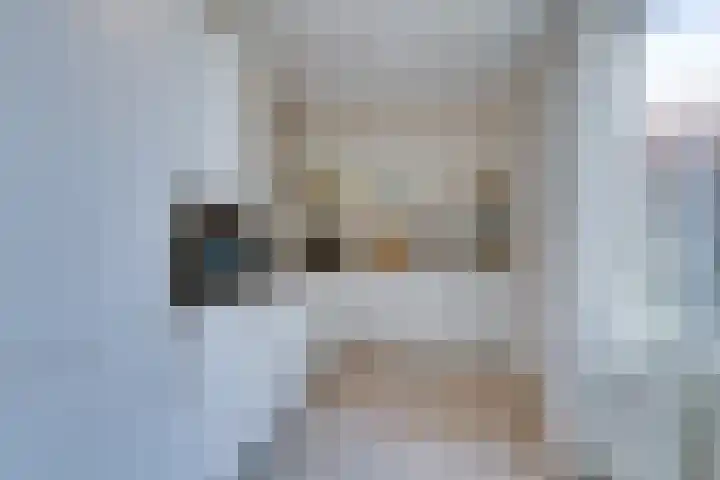 Standerdmolen 76 Edam thumbnail 4