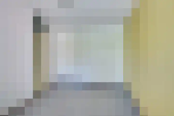 Standerdmolen 76 Edam thumbnail 45