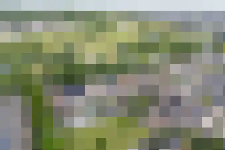 Standerdmolen 76 Edam thumbnail 5