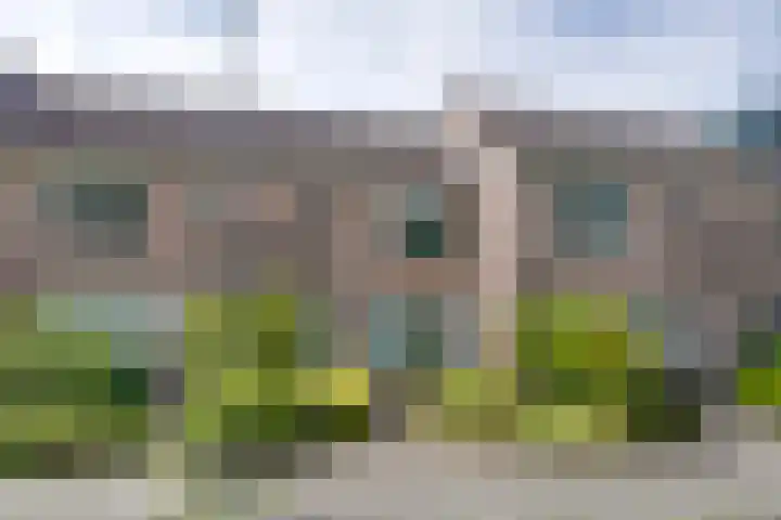 Standerdmolen 76 Edam thumbnail 53