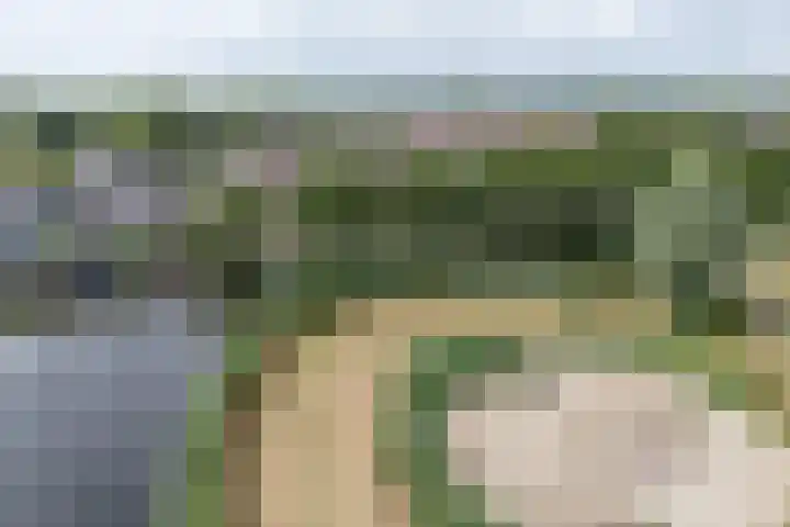 Standerdmolen 76 Edam thumbnail 54