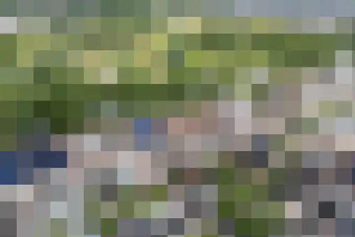 Standerdmolen 76 Edam thumbnail 55