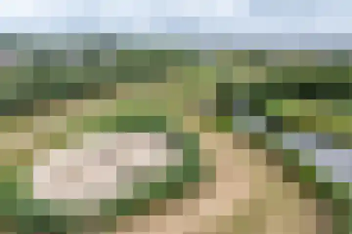 Standerdmolen 76 Edam thumbnail 56