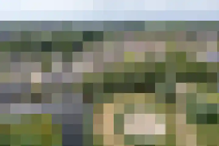 Standerdmolen 76 Edam thumbnail 6