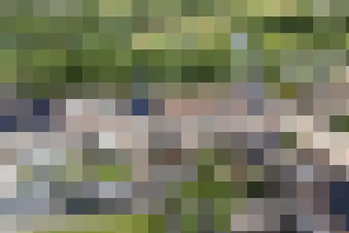 Standerdmolen 76 Edam thumbnail 8