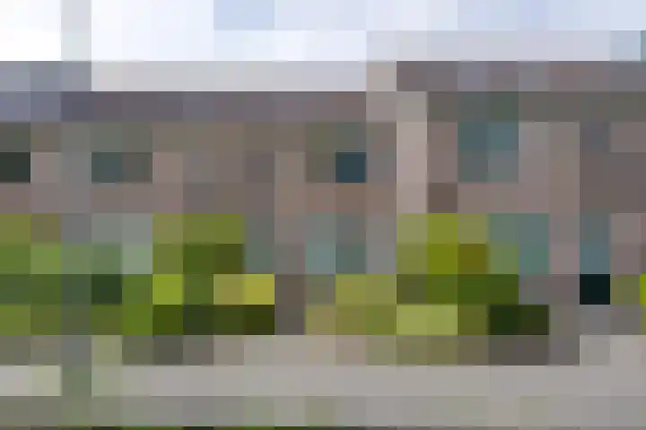 Standerdmolen 76 Edam thumbnail 9