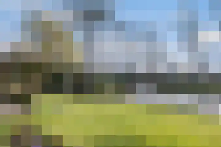 Staniastate 32 Leeuwarden thumbnail 12