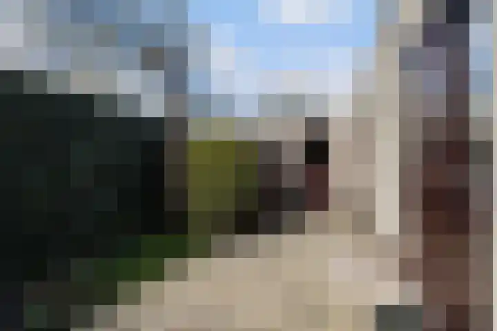 Staniastate 32 Leeuwarden thumbnail 18