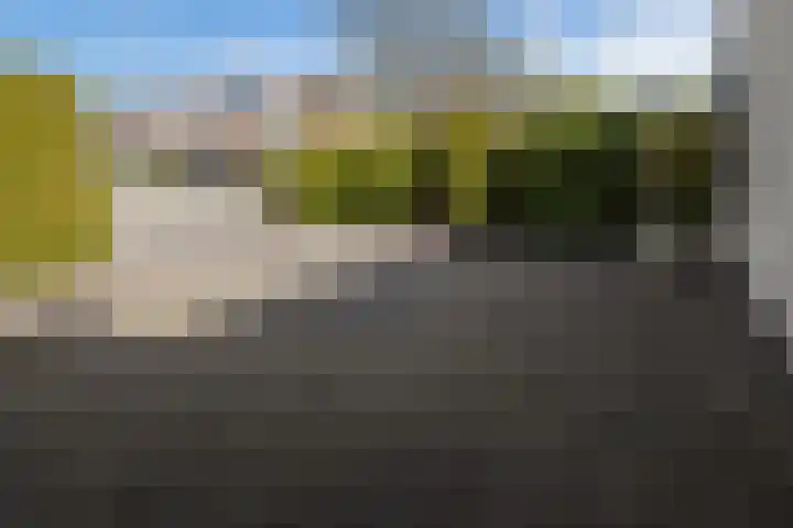 Staniastate 32 Leeuwarden thumbnail 26