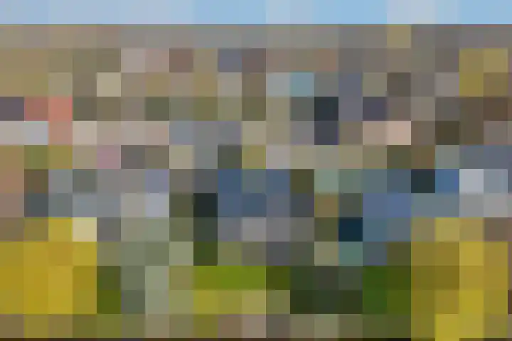 Staniastate 32 Leeuwarden thumbnail 6