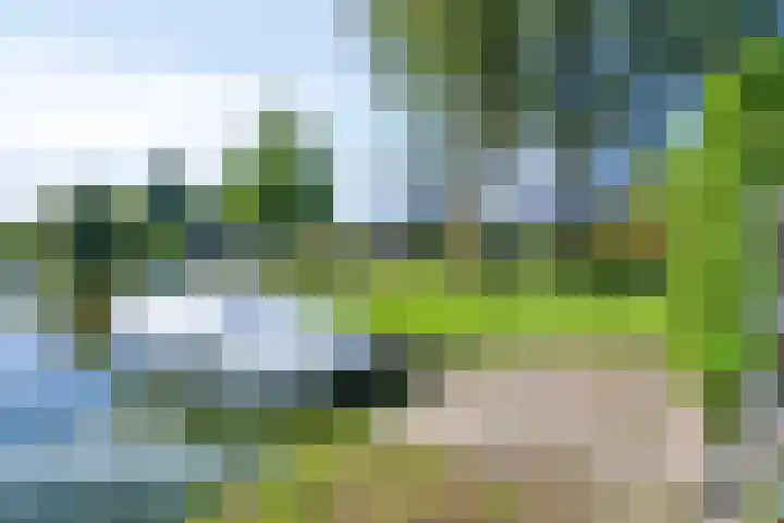 Staniastate 55 Leeuwarden thumbnail 60