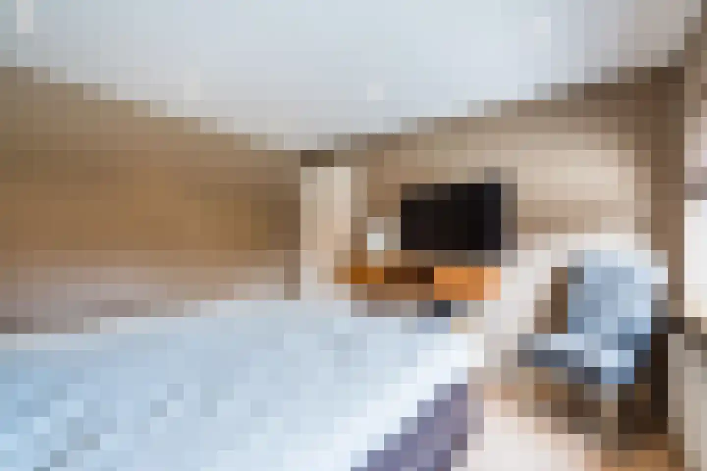 Stapershofpad 1 Weert thumbnail 22