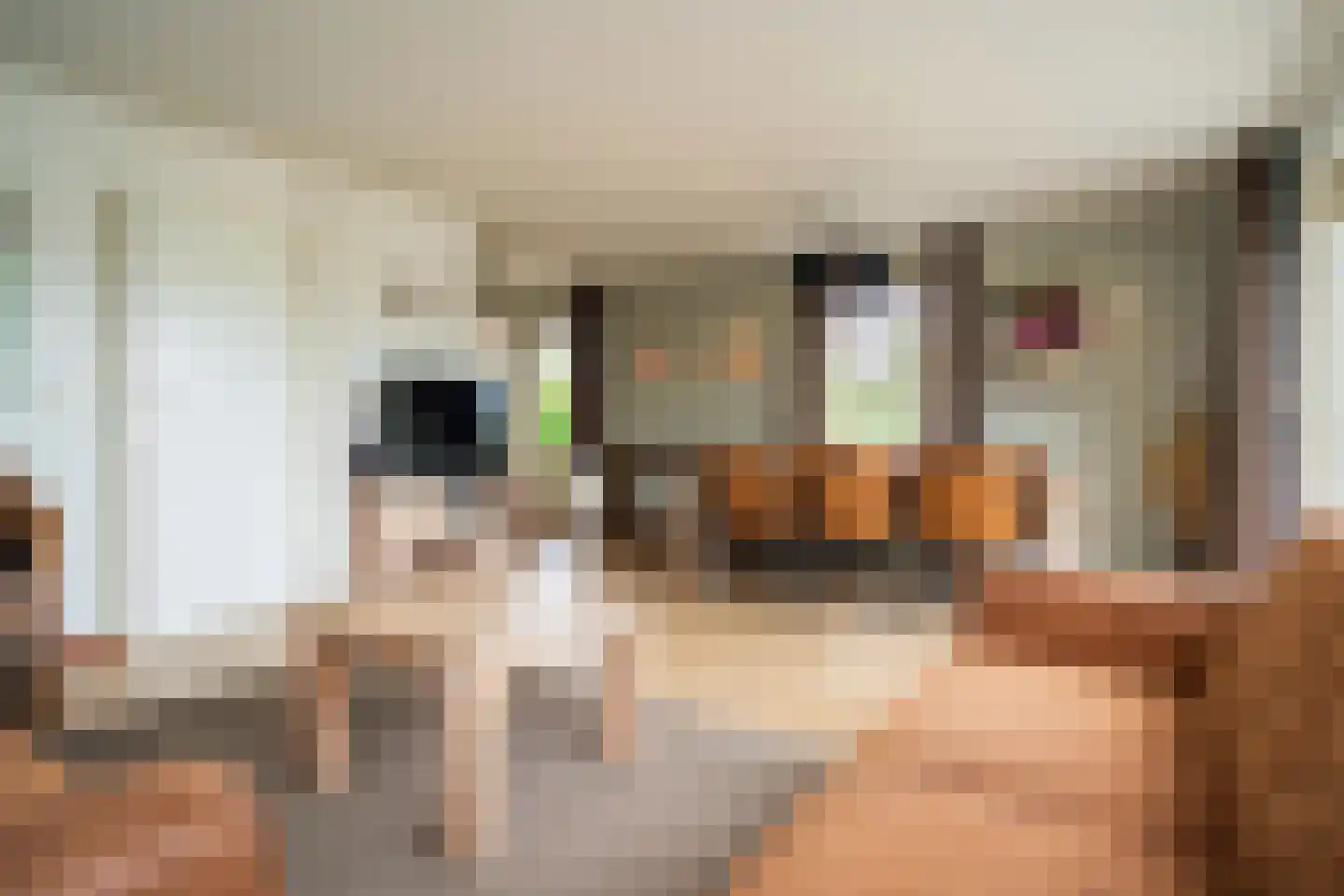 Stappeland 104 De Koog thumbnail 15