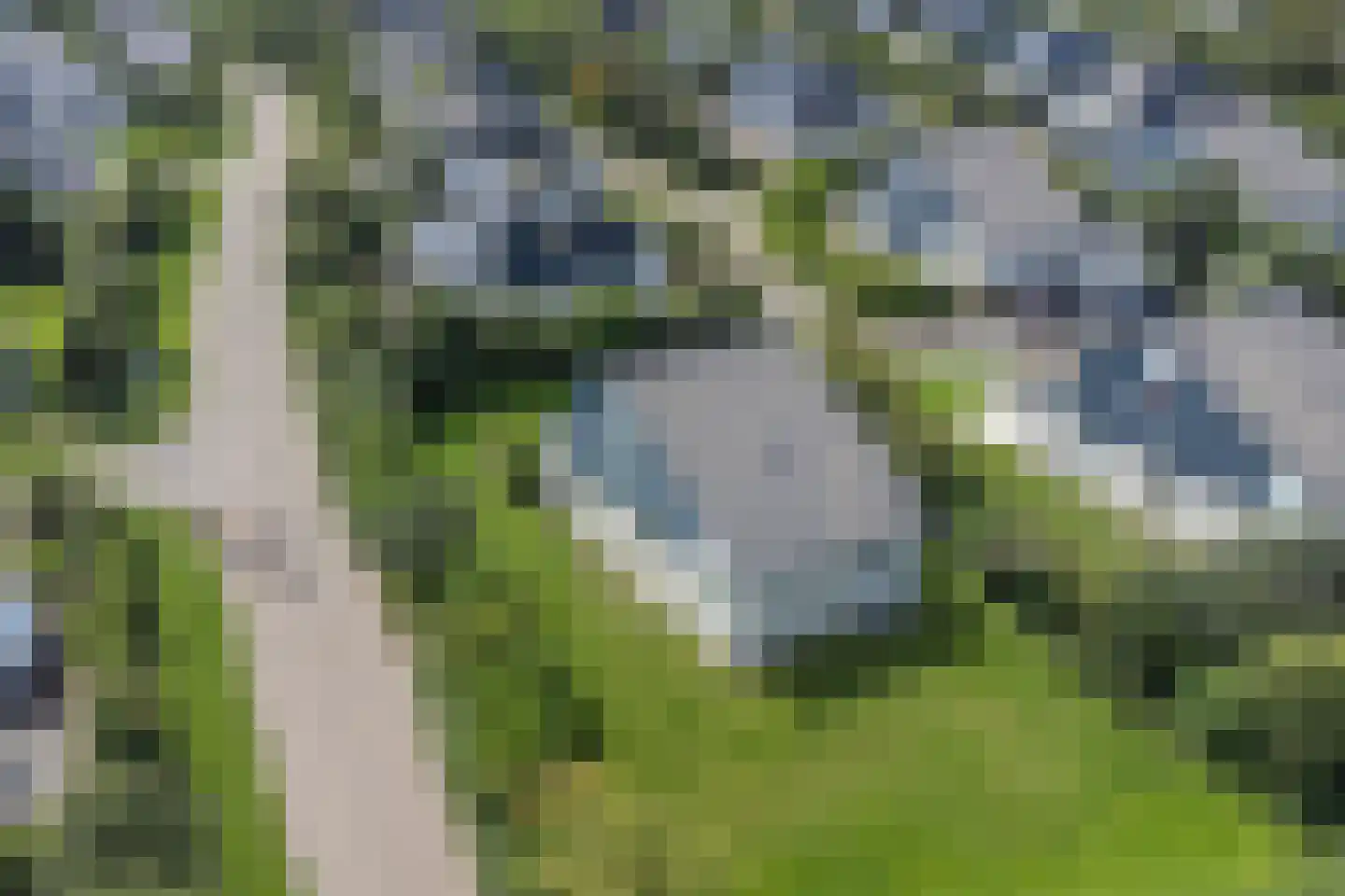 Stappeland 185 De Koog thumbnail 28