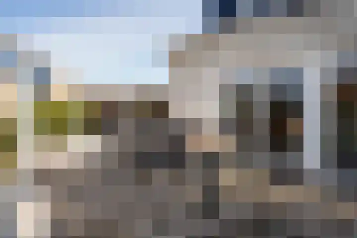 Stappeland 88 De Koog thumbnail 49