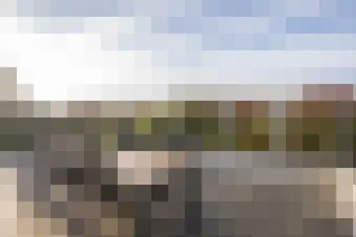 Stappeland 88 De Koog thumbnail 51