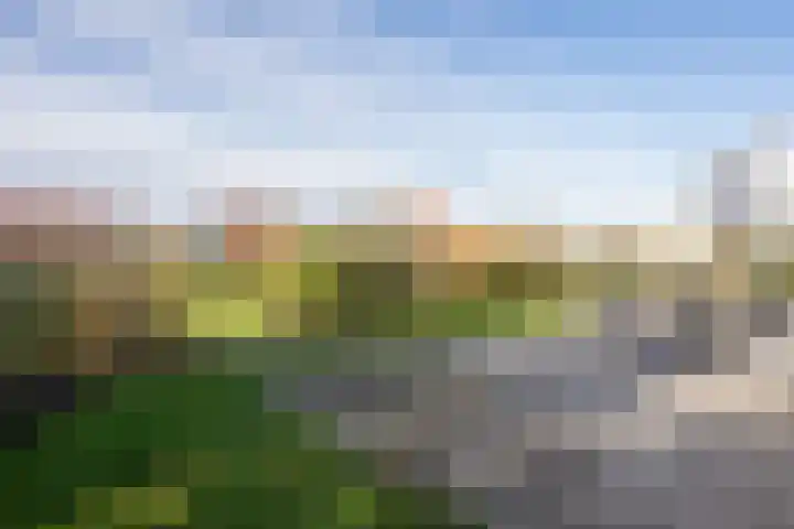 Stappeland 88 De Koog thumbnail 55