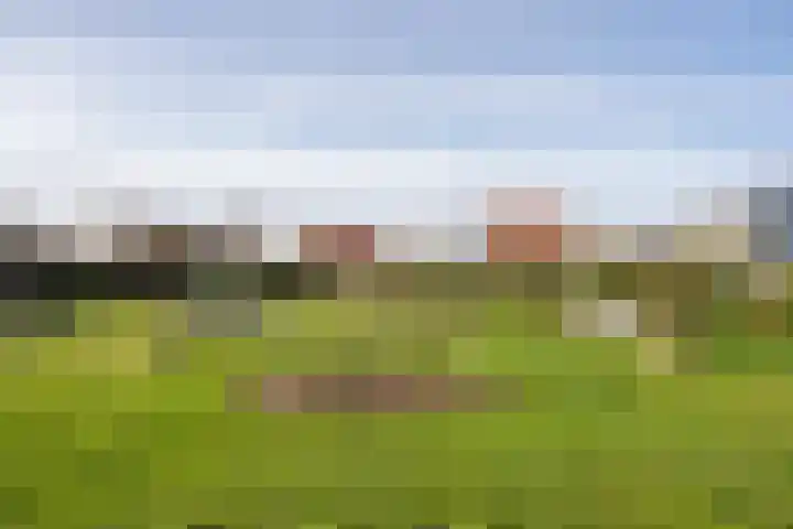 Stappeland 88 De Koog thumbnail 57